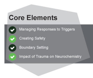 Trauma IOP Core Elements