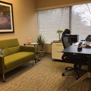 Sandy Springs Therapist Office 2
